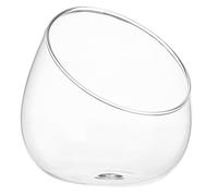 TOYZFRIENDY 1pc Terrarium Container Transparent Indoor Bottle Plant Garden Succulent Decor Clear Outdoor Terrarium Jar Wedding Succulents Moss Modern Mini Decorations Small Decorative