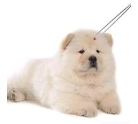 TOYZFRIENDY 3 Pcs Stainless Steel Pet Hair Cleaning with Anti-skid Ergonomic Handle Includes Shovel Pointed and Wide Tip Tweezers for Accurate Flea and Hair Removal Dogs and Cats