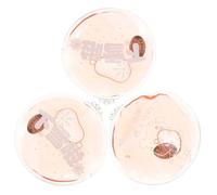 TOYZFRIENDY 3pcs Reusable PVC Hand Warmers Portable Self Heating Handbags for Winter Warm Fitting Pouches in Compact for Easy Carrying and Instant Heat Random Color