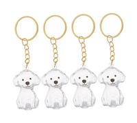 TOYZFRIENDY 4pcs Transparent Dog Hair Storage Keychain Portable Lightweight Pet Hair Keepsake Capsule Pendant for Bags Keys Memorial Urn Pendant for Cherished Dogs and Cats Heartwarming