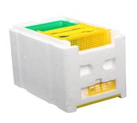 TOYZFRIENDY Bee Breeding Box Starter Beehive with Plastic Foam Material for Natural Honeycomb Building Compact and Portable Beekeeping Tool for Honeybees Mating and Garden Pollination