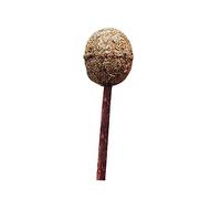 TOYZFRIENDY Catnip Lollipop Ball Cat for Cats and Kittens Natural Polygonum Molar Chew Stick Edible Mint Ball for Teeth Cleaning and Gum Health Small to Medium Interactive Chew