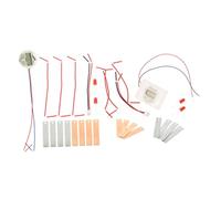 TOYZFRIENDY DIY Fruit Battery Science Kit for Students Potato Clock Zinc-copper Circuit Experiment Educational Physics Stem Kit for Family Learning Sustainability Activity