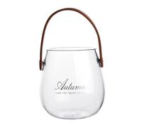 TOYZFRIENDY Glass Vase and Decorative Flower Vessel with Brown Leather Handle, Small Nordic Style Hydroponic Glass Jar for Home Storage and Floral Display,