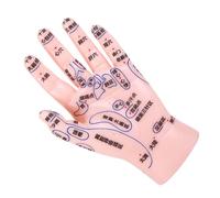 TOYZFRIENDY Hand Simulation Model for Tcm Education with Detailed Acupoints PVC Hand Acupuncture Display for Medical Training Reflexology and Massage Practice Tool