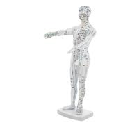 TOYZFRIENDY Human Body Acupuncture Model White Material Male Mannequin for Chinese Medicine Teaching with Comprehensive Meridian and Acupoint Display Training Aid for Acupuncture and Massage