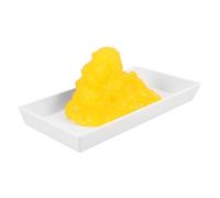 TOYZFRIENDY Human Fat Model with Base for Fitness Education Realistic Tpe Tissue Display Teaching Demonstration Tool for Nutritionists and Students