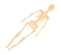 TOYZFRIENDY Human Skeleton Model Full Body Anatomy Teaching Aid Diy Assembly Educational Skeleton Figure for Children and Students for Anatomy Study and Science Learning