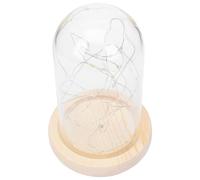 TOYZFRIENDY LED Star String Light with Wooden Base Glass Dome Ornament | White Desktop Decor, Button Battery Included, Festive Indoor Display Accent, Glass and Wood Finish