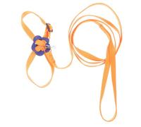 TOYZFRIENDY Lizard Harness with Sturdy Outdoor Traction Rope for Small Reptiles Bearded Dragons Iguanas Geckos Chameleons Lightweight Nylon Strap for Walking Pets
