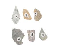 TOYZFRIENDY Natural Mineral Stone Specimens for School Teaching Unique Rock Samples for Primary Science Education Useful Display and Learning Tool for Teachers