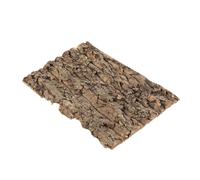 TOYZFRIENDY Natural Reptile Terrarium Bark Decor Tree Bark for Turtle Basking Lizard Climbing Versatile Habitat Accessory Compatible with Spiders and Various Reptile Species Use Enclosure