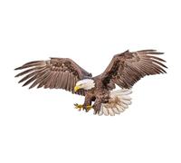 TOYZFRIENDY Realistic Eagle Wall Decal PVC Matte Finish Self-Adhesive DIY Wall Sticker for Living Farmhouse Decor Easy to Apply and Remove Without Residue