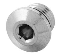 TOYZFRIENDY Scuba Diving Regulator Replacement Low Pressure Port Plug Screw Chrome Plated Brass Metal First Stage Accessory for Water Sports and Diving Equipment