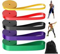 TPE Resistance Bands Set, 5 Progressive Pull Up Assistance Levels with Handles, Door Anchor and Hooks, Portable Exercise Bands for Strength Training, Mobility & Home Workouts