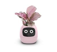 TPHRAVAL Intelligent flower pot, electronic bud, maintenance plant assistant, fun interactive flower pot, indoor green planting monitoring, LCD screen display, cell phone APP connection (Pink)