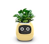 TPHRAVAL Intelligent flower pot, electronic bud, maintenance plant assistant, fun interactive flower pot, indoor green planting monitoring, LCD screen display, cell phone APP connection (Yellow)