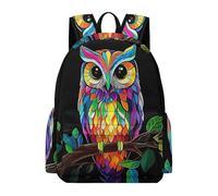TPISLI Colourful Owl Pattern Bookbag Students Ages 12-16 Bird School Backpack Boys Age 16 Lightweight Durable 14 Inch Laptop Backpack Primary School Travel Daily Use
