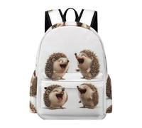TPISLI Kids Hedgehog Backpack for Boys Girls 10-16 Years Lightweight Durable Kawaii Little Animal Fashion School Bag for Weekend Trips Outdoor Gift, 15.6 Inch Laptop Backpack