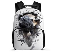 TPISLI School Backpack with Leopard Bag Boys 10-15 Years Old, Kid Cute Back Pack Cheetah Animal Rucksack Primary School Book Bags Girls Schoolbag with Front Pocket