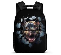 TPISLI School Bag French Bulldog Back Pack for Teenage Boy with Front Pocket Junior Elementary Bookbags Dog Animal Rucksack for Girls