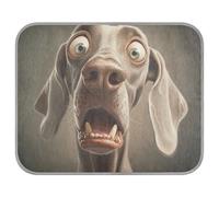 tplaotee Cartoon Funny Weimaraner Dogs Scaring Summer Cooling Blanket Self Cooling Blanket for Dogs for Cats Outside cat Essentials cama refrescante para Perros M