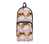 tplaotee Fat Cat Cute Nylon 3 Compartments Zipper Pencil Bag Big Capacity Pencil Case For Boys Stationery pouching for Preppy Office 1600ml