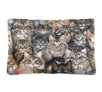 tplaotee Multi Cartoon Maine Cats Washable Dog Sleeping Mattress Soft Anti-Slip Pet Bed for Large Jumbo Medium Small Dogs 36" x 24"