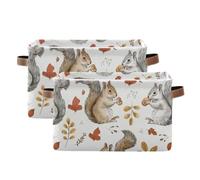 tplaotee Sweet Squirrel Autumn storage baskets,collapsable and waterproof baskets for shelves with sturdy handle tubs Decor Decor 2 pack for pantry sheet