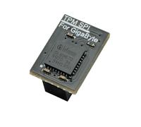 TPM 2.0 Module, 12-Pin SPI Interface with infineon SLB9670, Compatible with GigaByte Motherboard