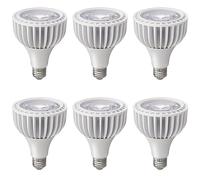 TPMAFF PAR30 Spotlight LED Bulb 40 Watt COB (300 Watt Eqv.) 4000 Lumens Dimmable Light Bulb, E26/E27 Base, PAR30 Flood Light Recessed Light Bulbs (Pack Of 6)