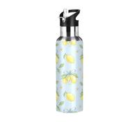 TPRDHK Ribbon Yellow Fruit Water Bottle with a straw cap, a nozzle cap and a handle，Vacuum insulation，Anti-leakage，Stainless Steel Water Bottle for Sports，fitness, camping and hiking