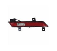 TPSOBRU Car Rear Tail Light For BYD For Destroyer 05 2022-2024 LED Rear Bumper Light Brake Lamp Foglight(Right)