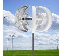 TPTAWF 1000W Vertical Wind Turbine Generator Kit - 12V/24V, 5 Blades with Controller, Efficient Renewable Energy for Home & Streetlights,12v