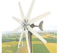 TPTAWF 9000W Wind Power Turbine Generator, 8-Blade Windmill Power Generator with Controller, Wind Generator for Home,48v