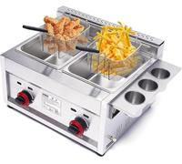 TPTAWF Stainless Steel Countertop Gas Fryer, Commercial LPG Gas Deep Fryer with 2 Basket Propane LPG Oil Frying Pot Kitchen Frying Machine