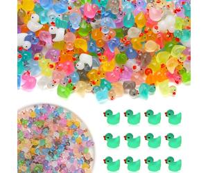 Tqcplfdiddo 100 PCS Mini Ducks, Mini Tiny Resin Ducks Little Miniature Plastic Small Ducks Bulk Glow in, for Dollhouse Decor Accessories Garden Micro Landscape Aquarium Potted Tiny Homes(10 Colors)