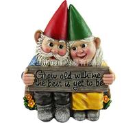 Tqcplfdiddo Outdoor Creative Couple Garden Gnomes Funny Gnome Couple In Love With Heart Shaped Forever Lawn Ornaments Gnome Statues Waterproof Resin Decoration For Home Garden Patio Lawn(1)