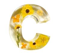 TQEBWUS Floral Resin Letter Night Light - Alphabet with Pressed Flower, Unique Resin Letters Light for Home Decor