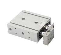 TR Double-Shaft and Double-Rod Cylinder TR6/10/16/20/25/32 Small Pneumatic Stroke 10-300(TR32X75S)