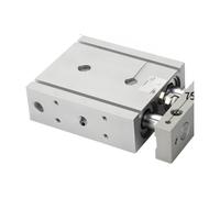 TR Double-Shaft and Double-Rod Cylinder TR6/10/16/20/25/32 Small Pneumatic Stroke 10-300(TR32X80S)
