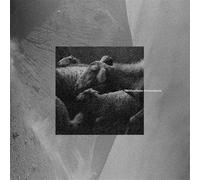 Tr - Manifesto Rumoratorio [VINYL]