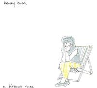 TRACEY THORN - A DISTANT SHORE - EXPANDED 12" VINYL EDITION [VINYL]