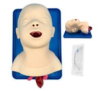 Tracheal Intubation Model - Training Device for Asphyxia Resuscitation Simulation Through Mouth and Nose