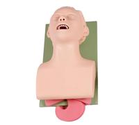 Tracheal Intubation Training Model - Adult Anatomy Practice Model with Dental Alarms for Nursing Education