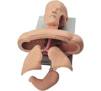 Tracheal Intubation Training Model for Airway Management, Anatomical Structure with Alarm for First Aid Practice and Demonstration