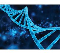 Tracing the Spread of Humankind