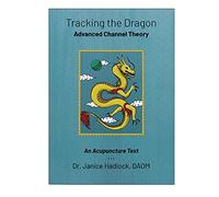 Tracking the Dragon: Advanced Channel Theory - An Acupuncture Text - 3rd EDITION (2019)