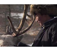 Tracking the White Reindeer