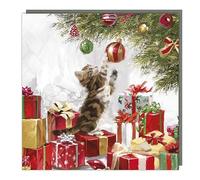 Tracks Christmas Cards 5 Pack Festive Playful Kitten - Rainbow Trust Charity Xmas Cards, White, Red, Green